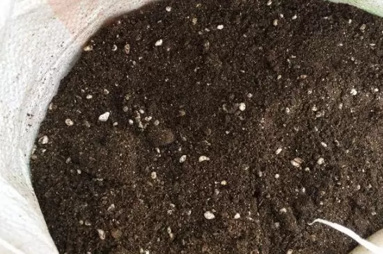 栽花花盆底下需要垫什么插图3