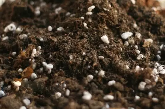 栽花花盆底下需要垫什么插图4