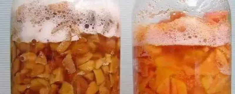 橘子皮泡水浇花能杀虫吗插图 橘子皮泡水浇花能杀虫吗插图