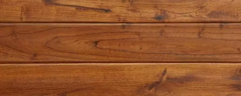 榆木是什么木材插图 榆木是什么木材插图