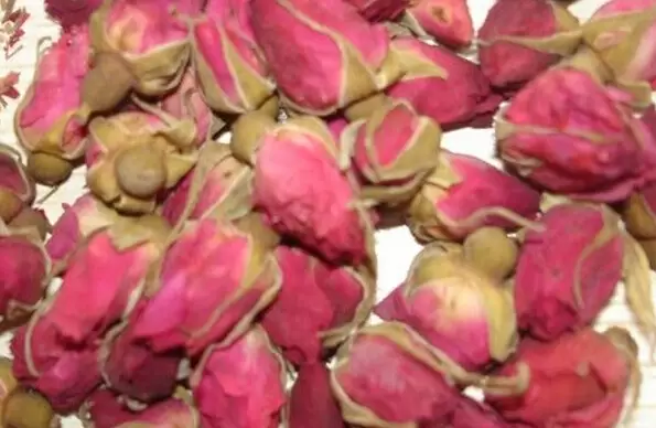 玫瑰花药用功效和药用价值插图 玫瑰花药用功效和药用价值插图