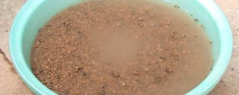 煤渣泡一天可以种花吗插图