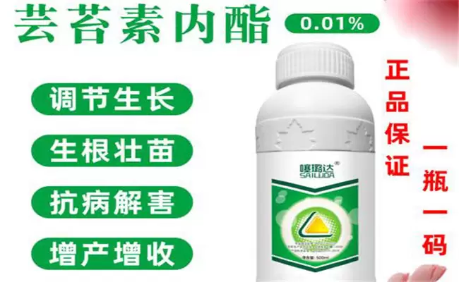 黄瓜有哪些生长调节剂 黄瓜如何使用生长调节剂插图