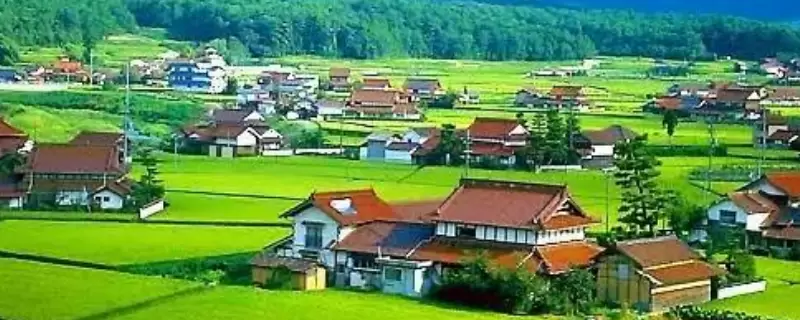走低成本扩张之路时农村创业者要注意哪些问题，主要有六大问题插图