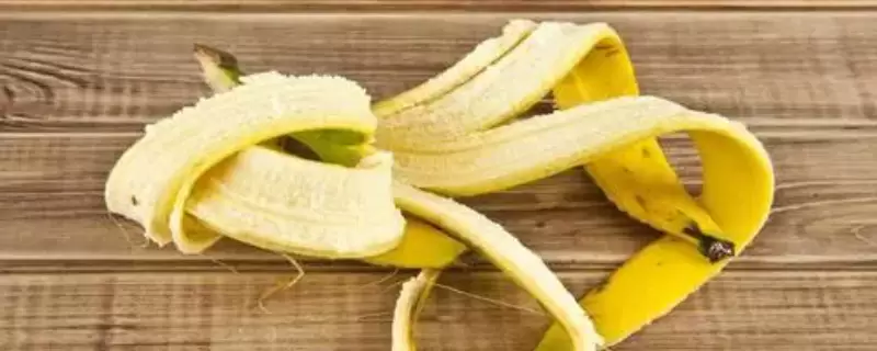 香蕉皮是属于氮肥还是钾肥插图 香蕉皮是属于氮肥还是钾肥插图