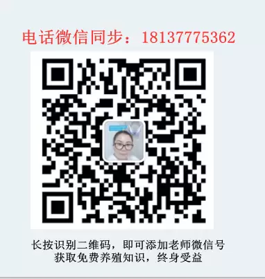 更多的养殖知识获取可以点击下图，免费获取，终身受益插图1