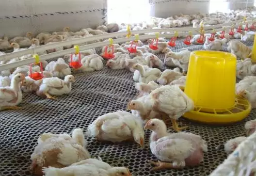 肿头肿脸的预防,于治疗插图 肿头肿脸的预防,于治疗插图