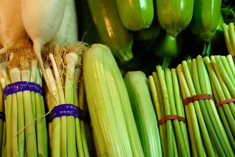 多抗霉素和春雷霉素哪个好(比较分析多抗霉素和春雷霉素的效果)插图3