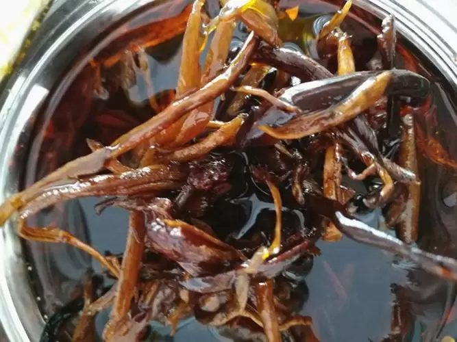 会理必带回的特产(会理有什么土特产)插图 会理必带回的特产(会理有什么土特产)插图