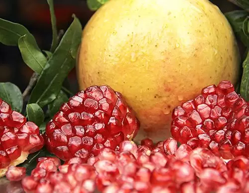 会理必带回的特产(凉山会理县十大特产)插图 会理必带回的特产(凉山会理县十大特产)插图