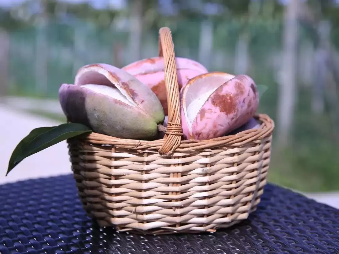 “黑老虎”“九月黄”……八月瓜的“朋友圈”扩容啦!插图5 “黑老虎”“九月黄”……八月瓜的“朋友圈”扩容啦!插图5