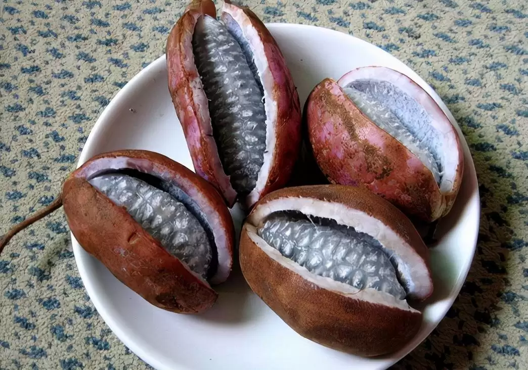 曾不起眼的“八月炸”，变身成“致富果”，1斤18元让不少人眼红插图2