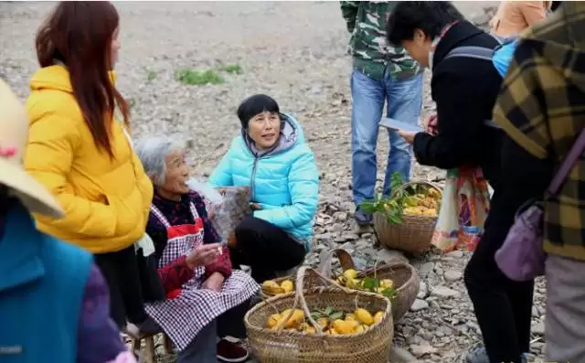 芒果还是野果？农村大山里的“八月炸”竟如此美味！插图6