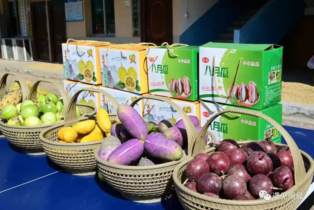 “八月炸”“九月黄”神奇水果在哪里?-会东网