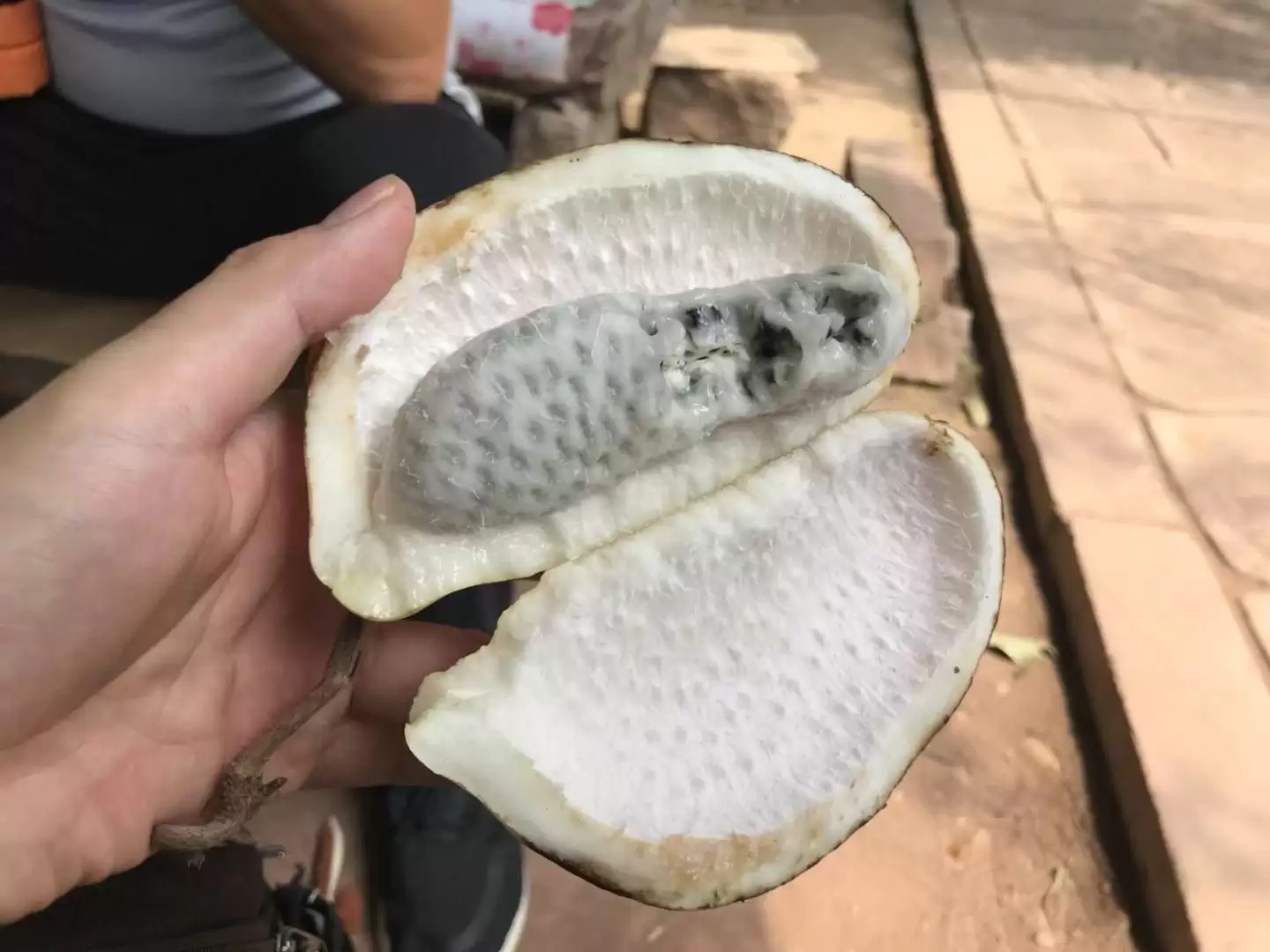 八月炸，九月也炸！这水果你了解多少？插图1