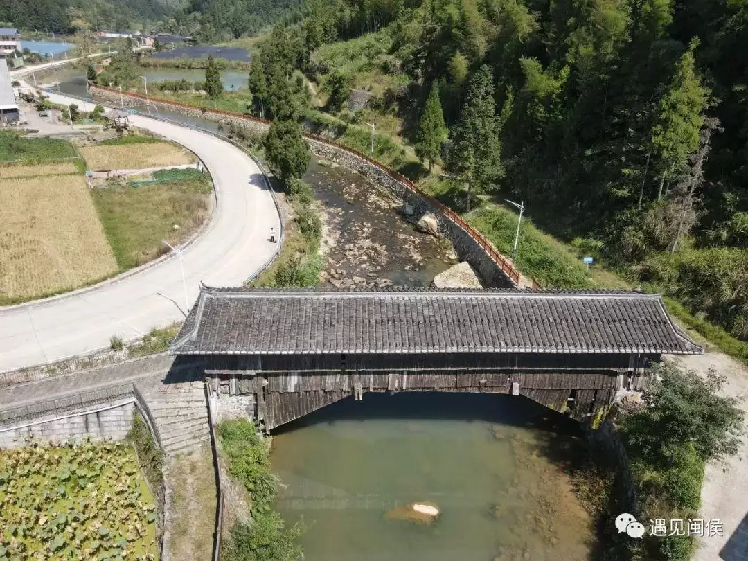 “八月炸”“九月黄”神奇水果在哪里?插图10 “八月炸”“九月黄”神奇水果在哪里?插图10