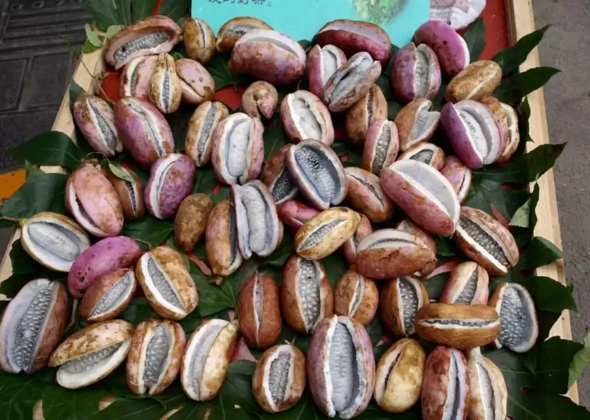 “八月炸”为何炸裂？农村野果背后的秘密大公开！插图1