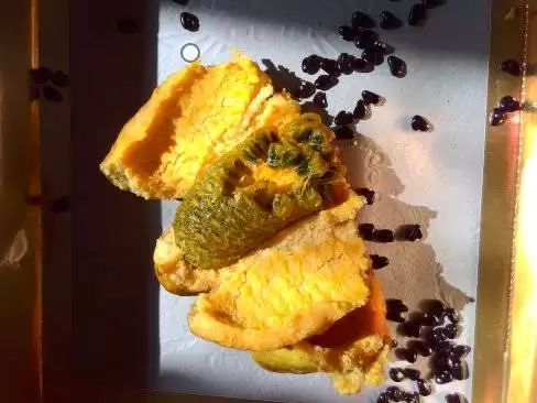 芒果还是野果？农村大山里的“八月炸”竟如此美味！插图7