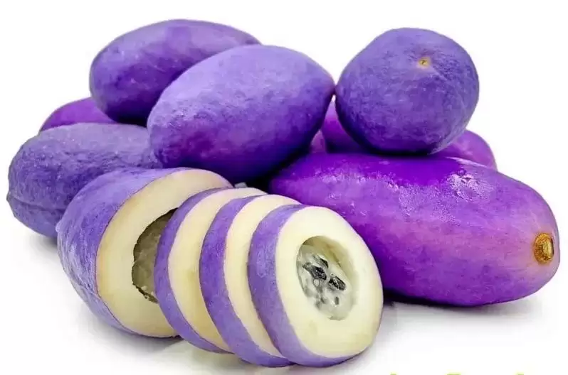 八月里话“八月瓜”：它竟能如此赚钱？插图14