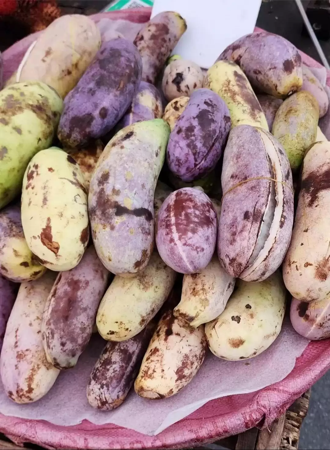 八月里话“八月瓜”：它竟能如此赚钱？插图2