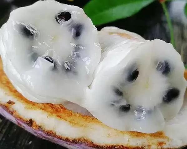 八月里话“八月瓜”：它竟能如此赚钱？插图15