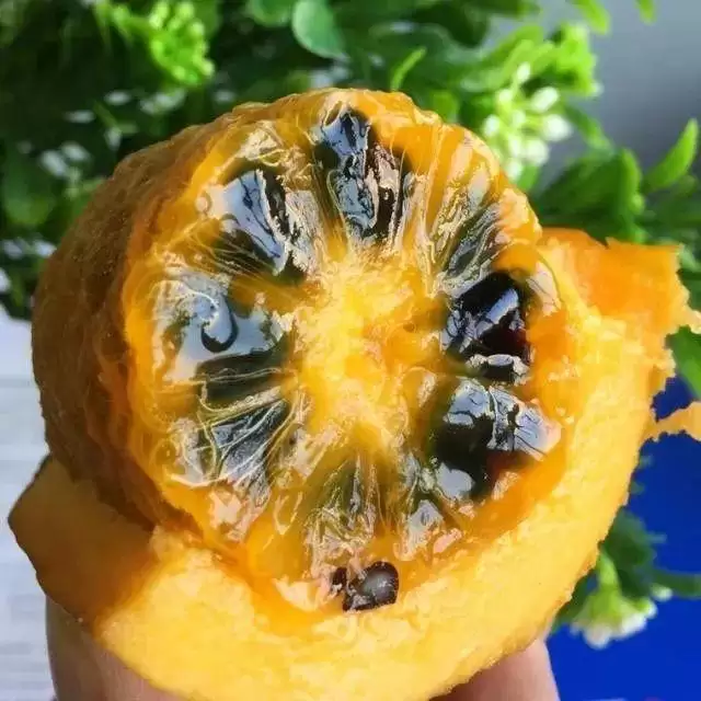 不可错过的美味野果，长得像肾，全身是宝！插图4