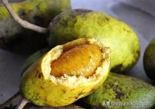 芒果还是野果？“九月黄”全身是宝，你知多少？插图5