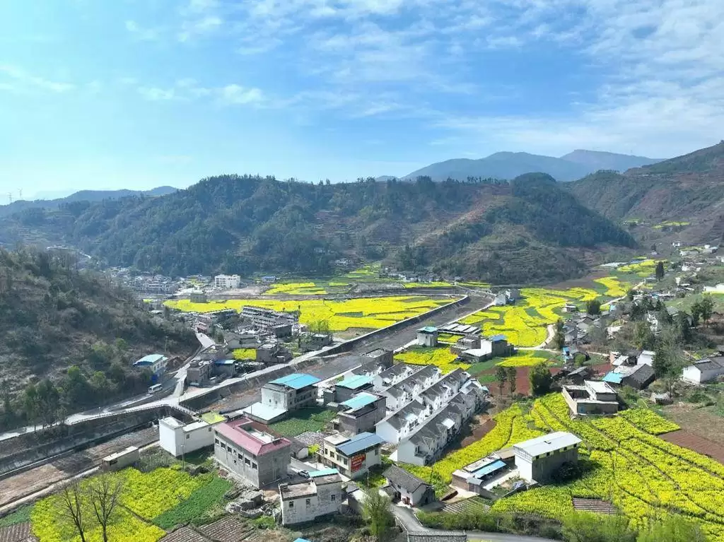 会东县有哪些乡镇（会东县有哪些乡镇名）插图3