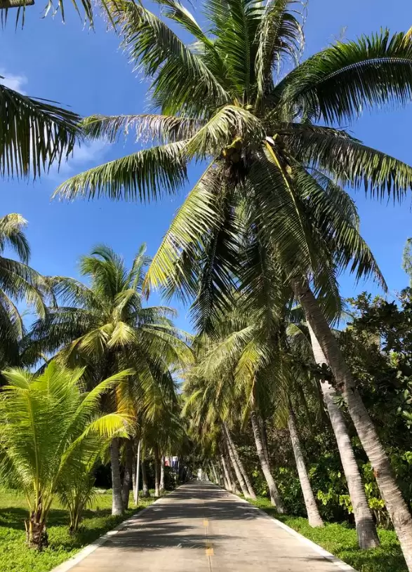 会东网：永兴岛有多少人（永兴岛住了多少人）插图9