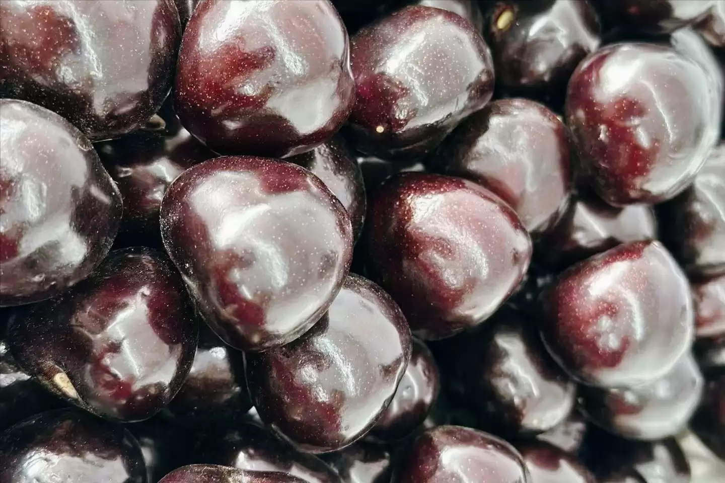 会东网三农：国产大樱桃的“凶猛”之处插图10