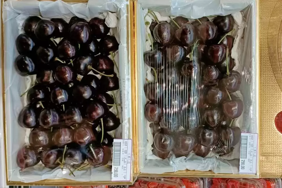 会东网三农：国产大樱桃的“凶猛”之处插图9