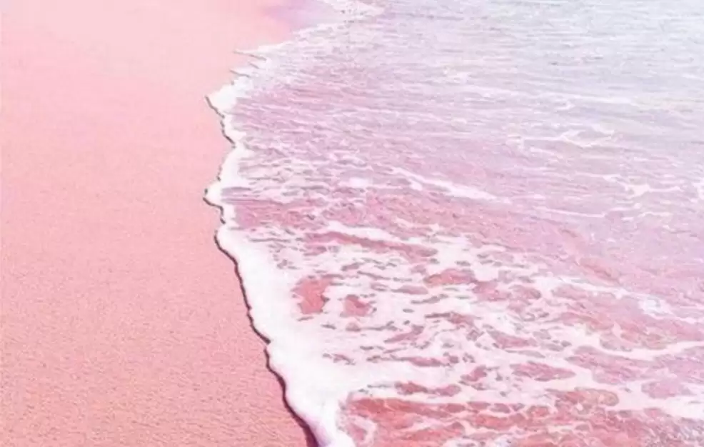 会东网：永兴岛有多少人（永兴岛住了多少人）插图21