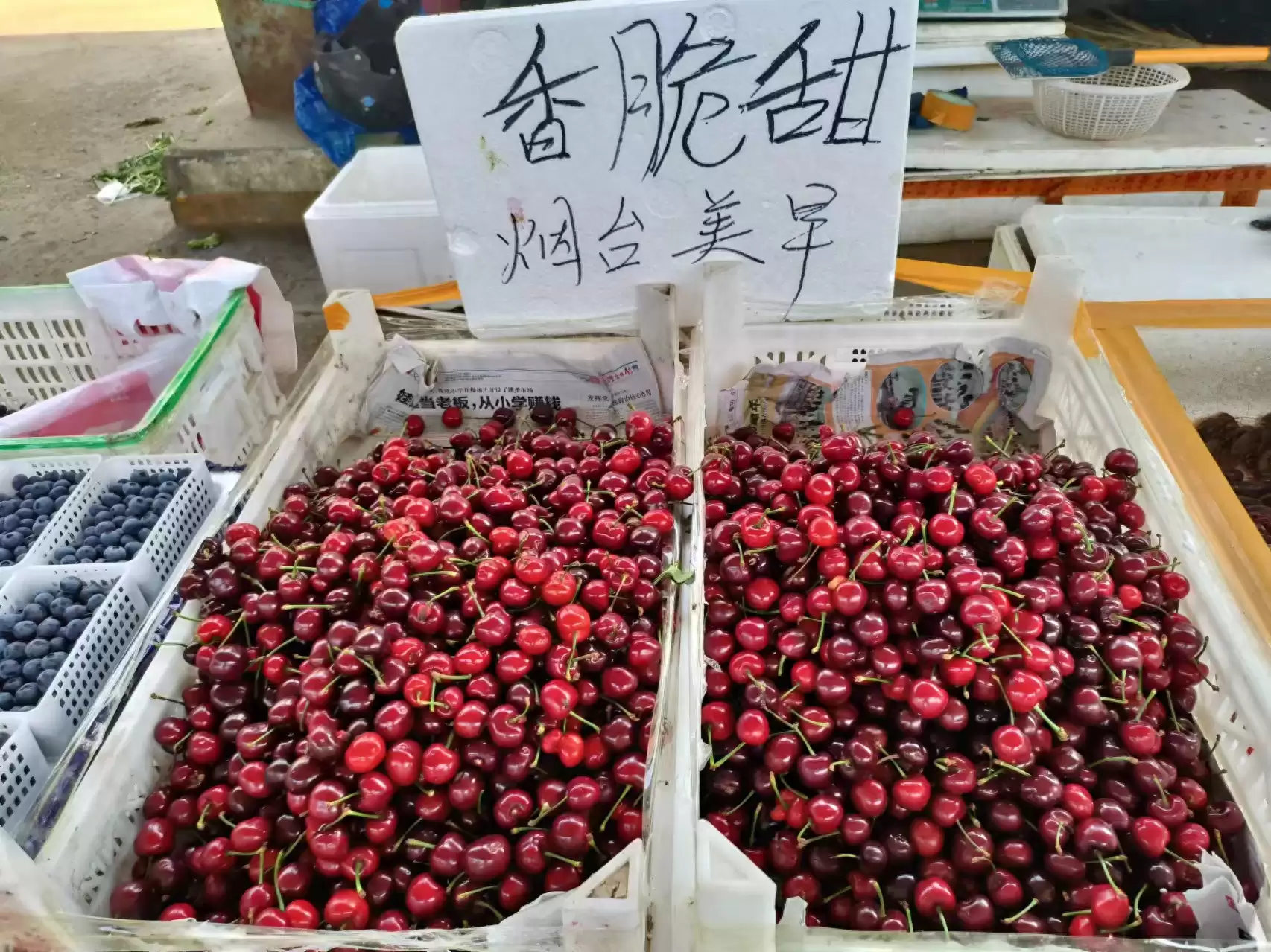 会东三农资讯:樱桃价格亲民,本地上市尽享“樱桃自由-会东网