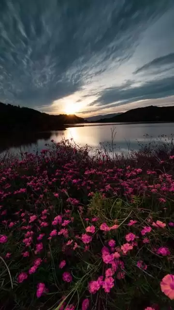 遵义余音：一封关键信笺触发红军长征中的会理会议插图1