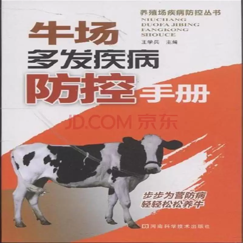 养牛那些事儿：从新手到行家的进阶指南插图2