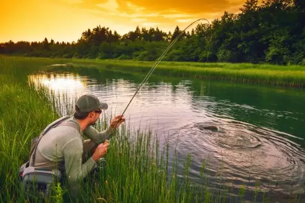 11月份钓深还是钓浅(11月份在不同水域钓鱼选择钓深还是钓浅呢)插图2 11月份钓深还是钓浅(11月份在不同水域钓鱼选择钓深还是钓浅呢)插图2