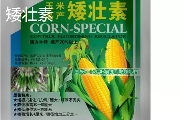 矮壮素和多效唑区别大揭秘,应用范围和施用方法不同之处插图1 矮壮素和多效唑区别大揭秘,应用范围和施用方法不同之处插图1