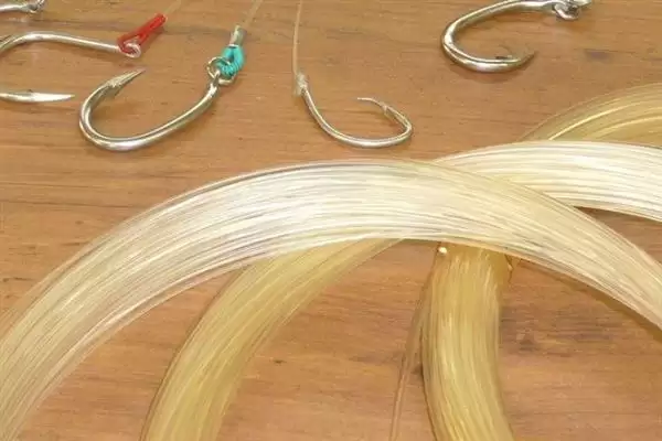 1.2号主线适合钓不超5斤鱼的原因(1.2号主线适合钓5斤内鱼的具体原因是什么)插图2