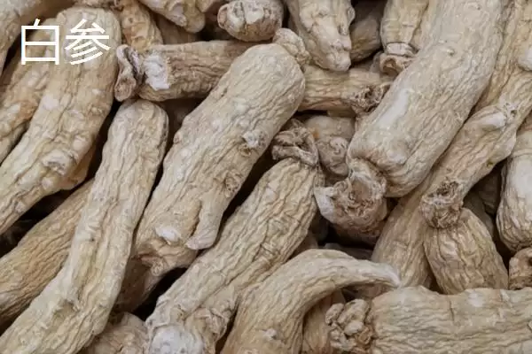白参与西洋参对比(白参与西洋参对比及其在药用价值和功效上的区别)插图1