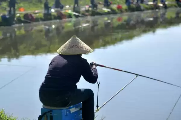 谷麦钓法选钓位(谷麦钓法选钓位有哪些要点和技巧呢)插图2