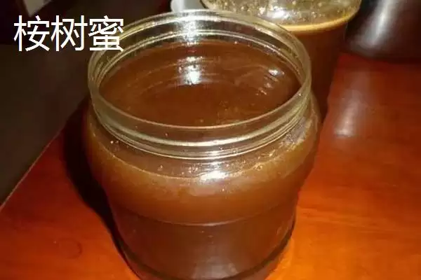 桉树蜜特性(桉树蜜是蜂蜜的一种其特性和口感风味有哪些特点)插图3 桉树蜜特性(桉树蜜是蜂蜜的一种其特性和口感风味有哪些特点)插图3