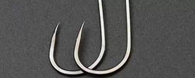 8号伊势尼钓多大的鱼(8号伊势尼钩在正常垂钓时能钓多大重量的鱼呢)-会东网