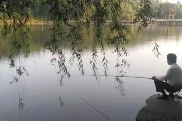 初夏钓鱼适宜时间(初夏钓鱼在什么时间合适呢)插图6