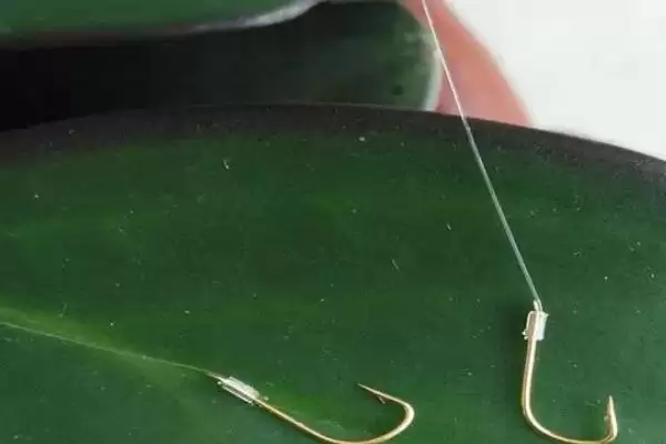 2.0主线1.0子线是否合理(2.0主线搭配1.0子线在实际垂钓中的合理性探讨)插图2 2.0主线1.0子线是否合理(2.0主线搭配1.0子线在实际垂钓中的合理性探讨)插图2