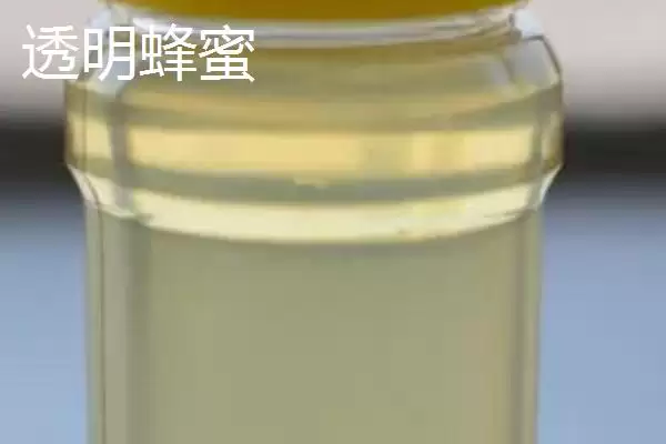 白色和透明蜂蜜特点(白色和透明蜂蜜在色泽、口感等方面有何特点)插图2 白色和透明蜂蜜特点(白色和透明蜂蜜在色泽、口感等方面有何特点)插图2