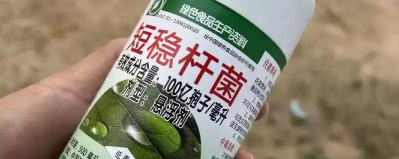 短稳杆菌是什么农药(短稳杆菌属于什么类型农药)-会东网