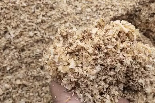 发酵床养鸡技术(发酵床养鸡技术具体是怎样的)插图2