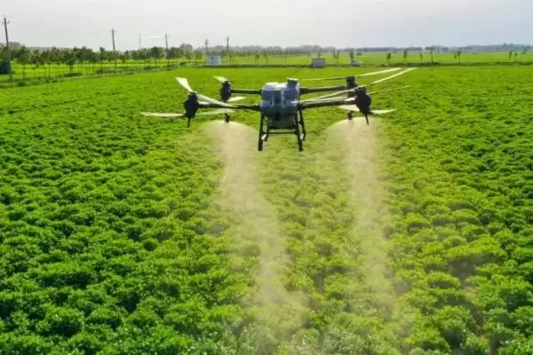 除草剂的作用原理(除草剂的作用原理是什么呢)插图3