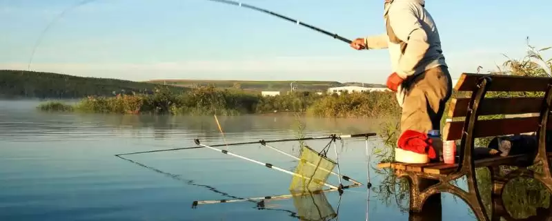 200元以内野钓综合竿推荐(200元内适合野钓的综合竿有哪些值得推荐呢)-会东网