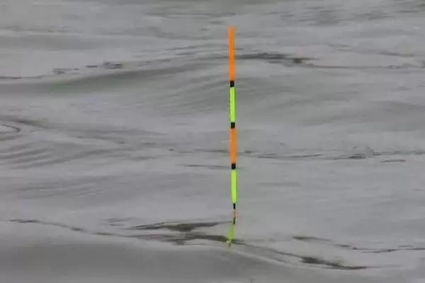 123号浮漂的选用方法(在不同垂钓场景下123号浮漂的选用方法有哪些呢)插图3 123号浮漂的选用方法(在不同垂钓场景下123号浮漂的选用方法有哪些呢)插图3